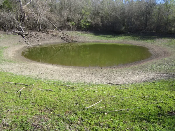 a view of a swimming pool with a yard