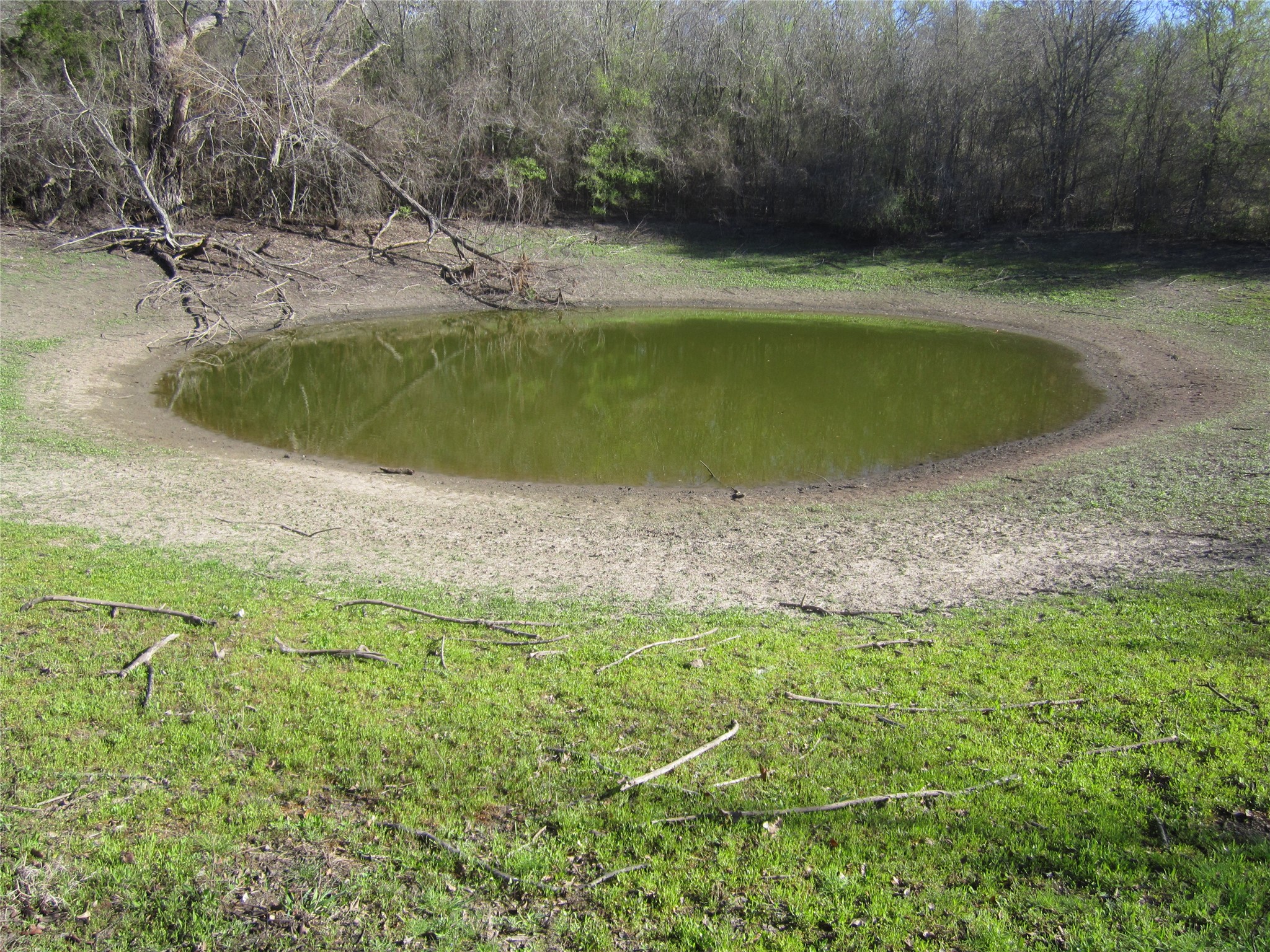 a view of a swimming pool with a yard