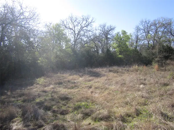 a view of backyard with green space