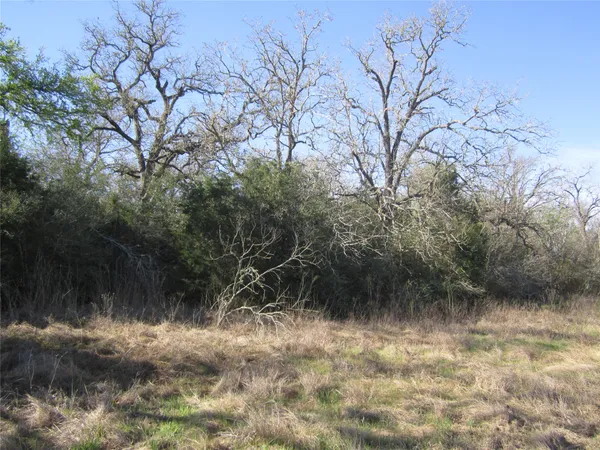 a view of a lake with lots of trees