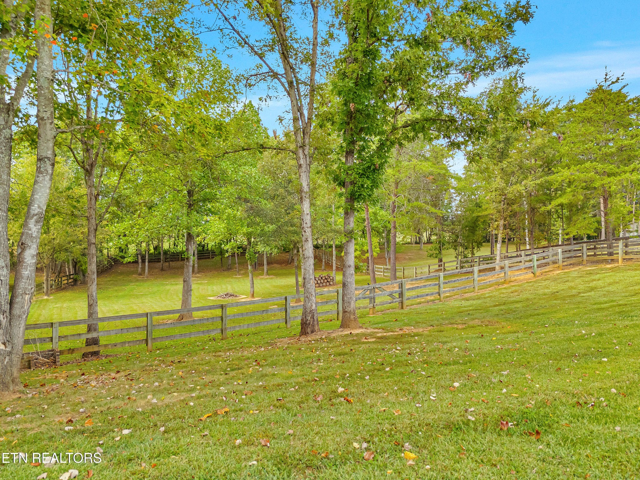 1223 Houston Springs Road Greenback, TN 37742 - Photo 3 of 58 Gallery Image 3