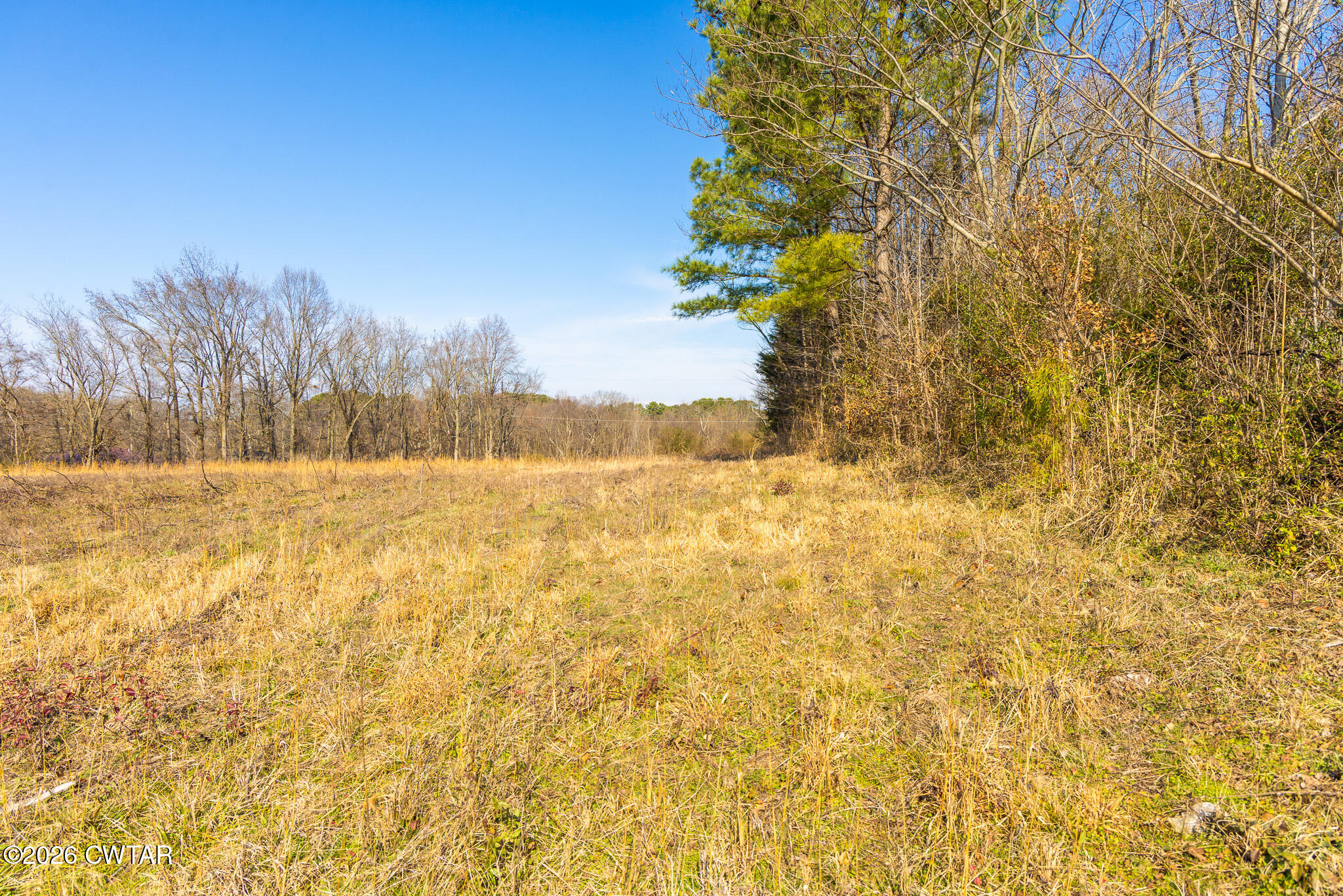 0 Baker Road Martin, TN 38237 - Photo 14 of 18 FT8A0228