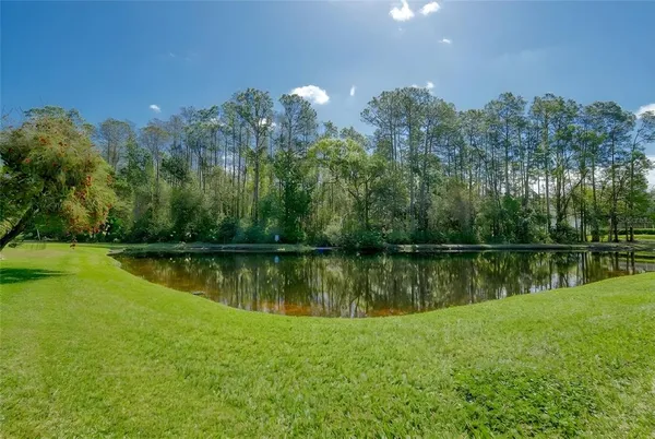 $795,000 | 13106 Royal George Avenue, Odessa, FL 33556