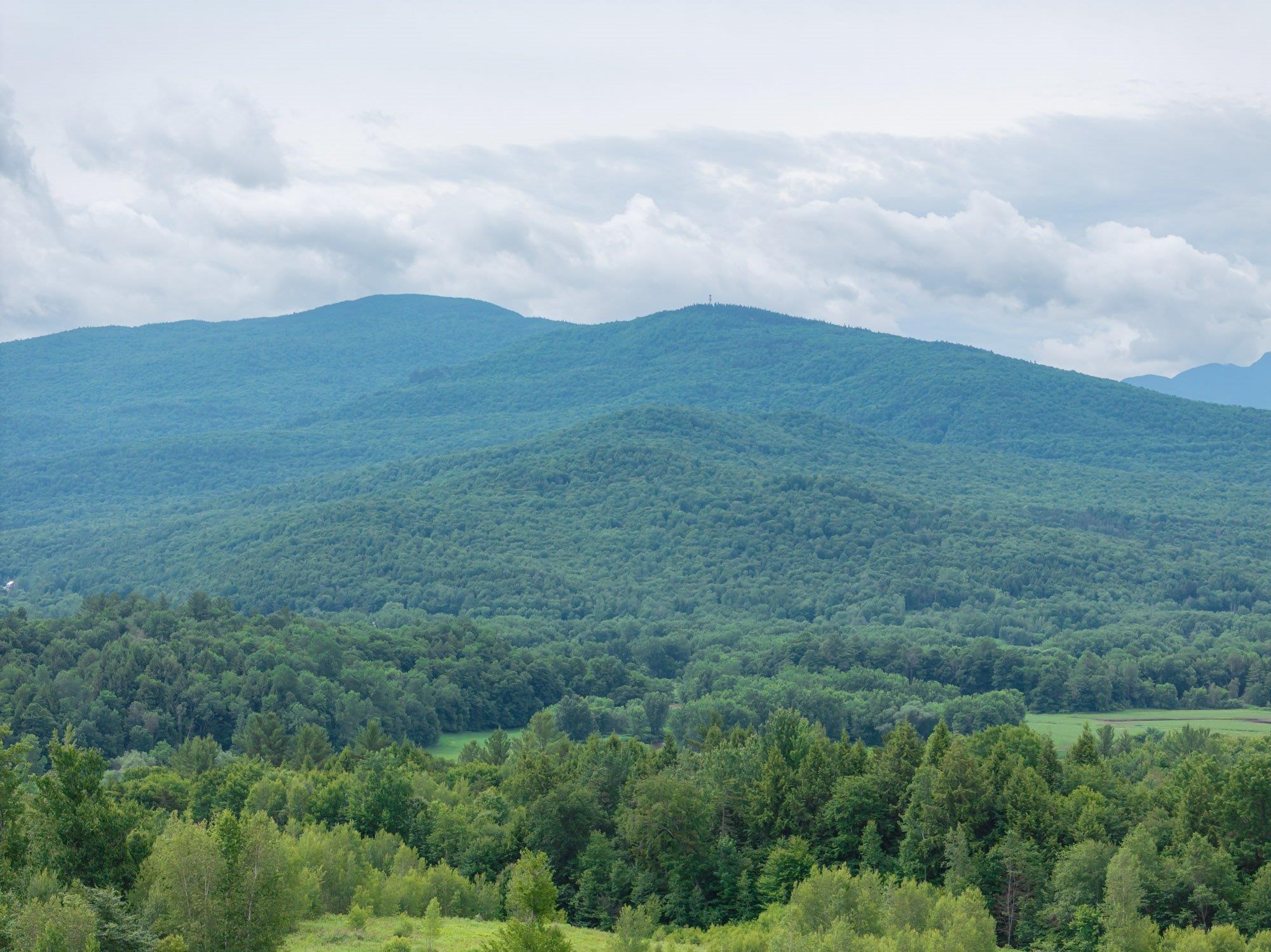 0 Birch Tree Lane, Unit LOT 4 Waterville, VT 05492 - Photo 14 of 16