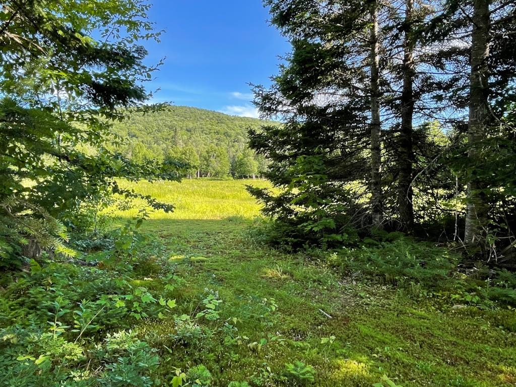 2193 Colebrook Road Errol, NH 03579 - Photo 3 of 30