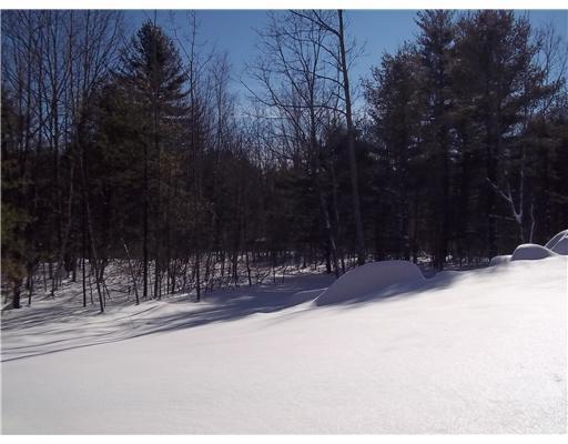 71 Old County Road South Berwick, ME 03908 - Photo 15 of 16 View. View of back acreage.