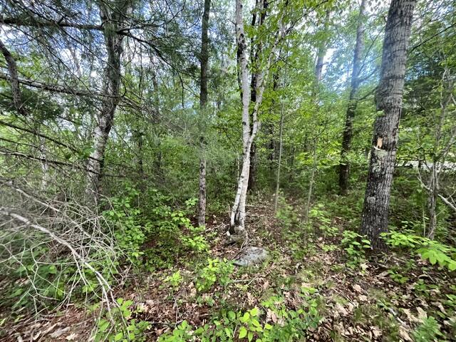 435 Lebanon Road Winterport, ME 04496 - Photo 5 of 10 lester9