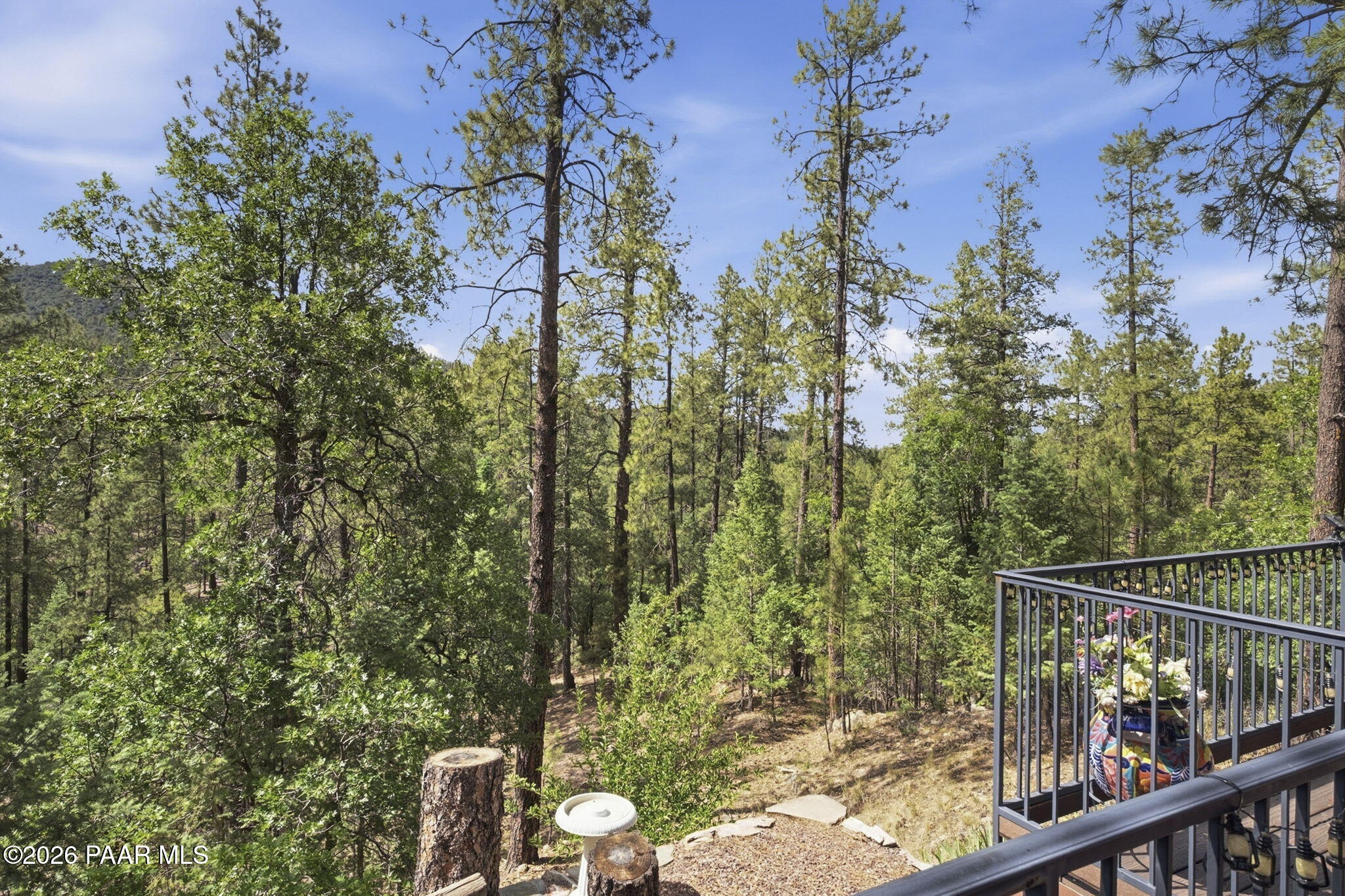 6237 Champion Way Prescott, AZ 86303 - Photo 33 of 51 33-View From Deck