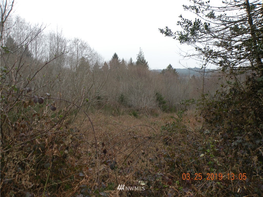 2921 Oldani Road Raymond, WA 98577 - Photo 1 of 3 Gallery Image 1