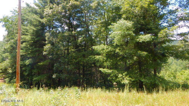 16 Tyler Ridge Road Murphy, NC 28906 - Photo 2 of 5