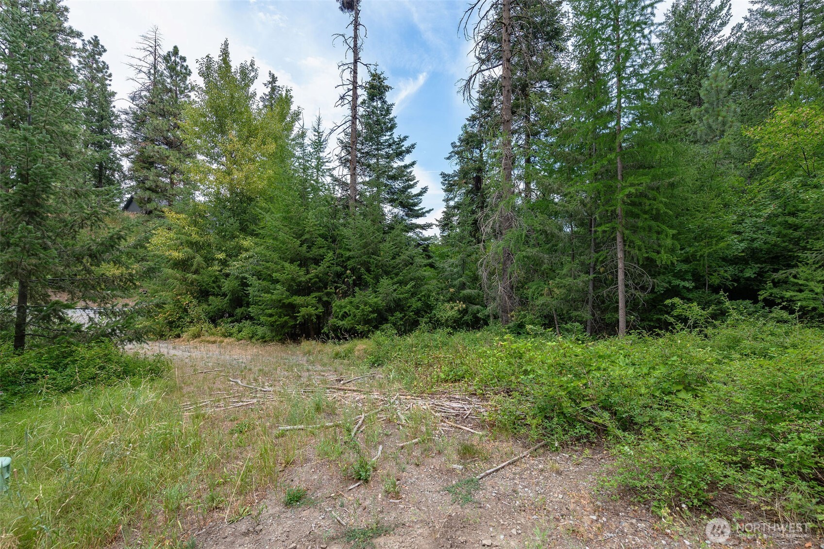 6409 Forest Ridge Drive Wenatchee, WA 98801 - Photo 7 of 30
