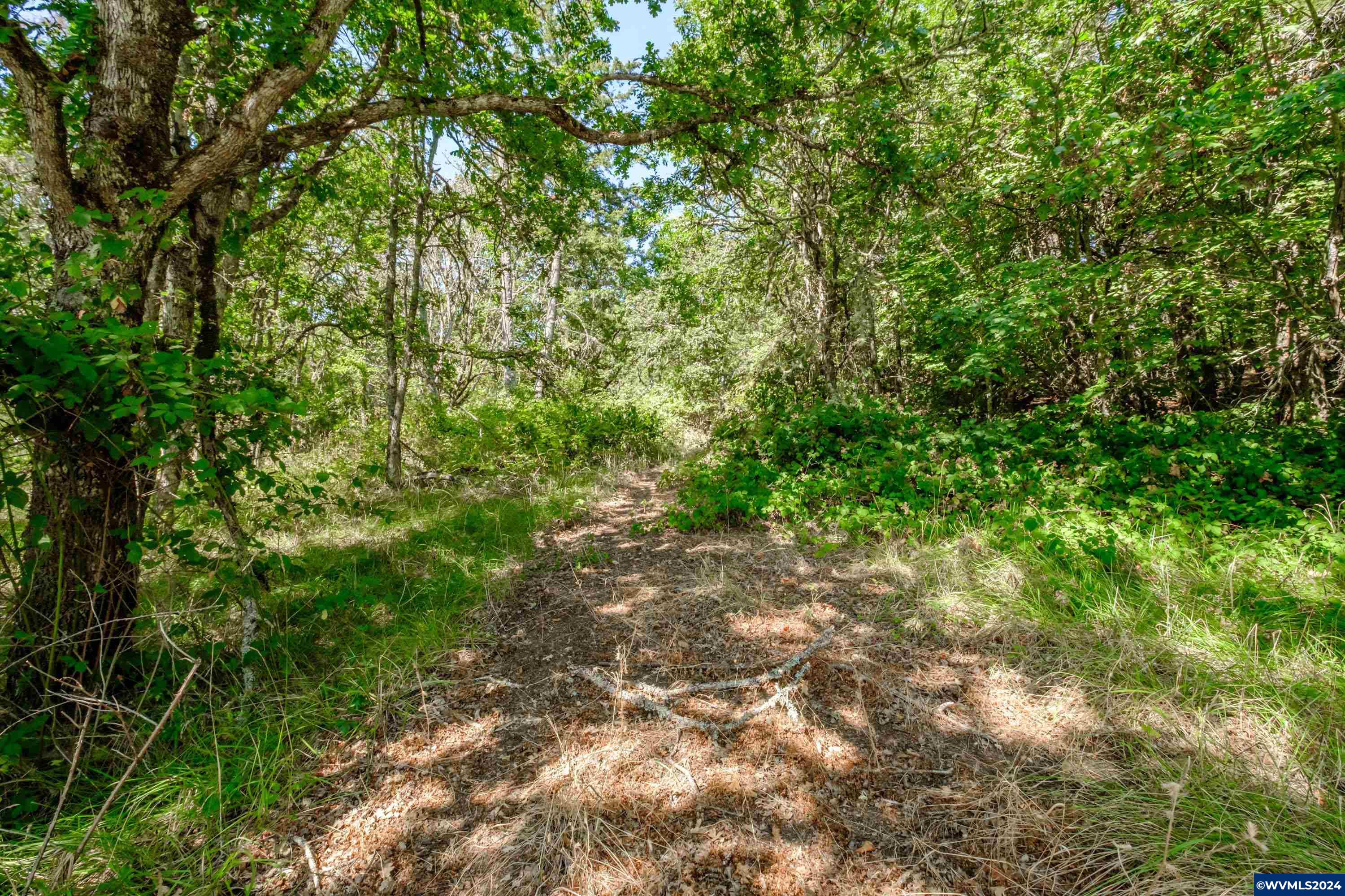 28920 Sheep Head Road Brownsville, OR 97327 - Photo 24 of 32