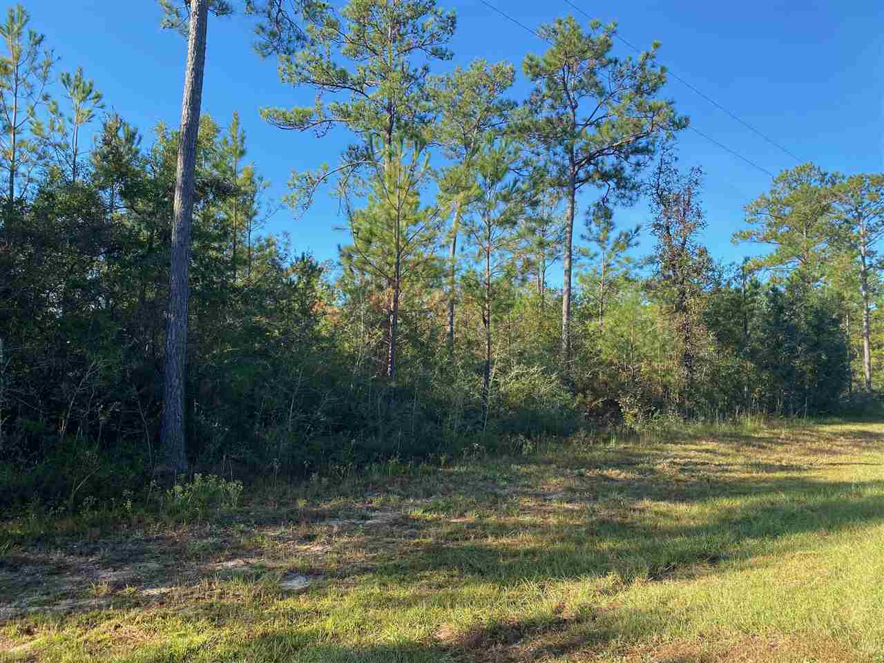 8702 Dixon Road Bay Minette, AL 36507 - Photo 1 of 8