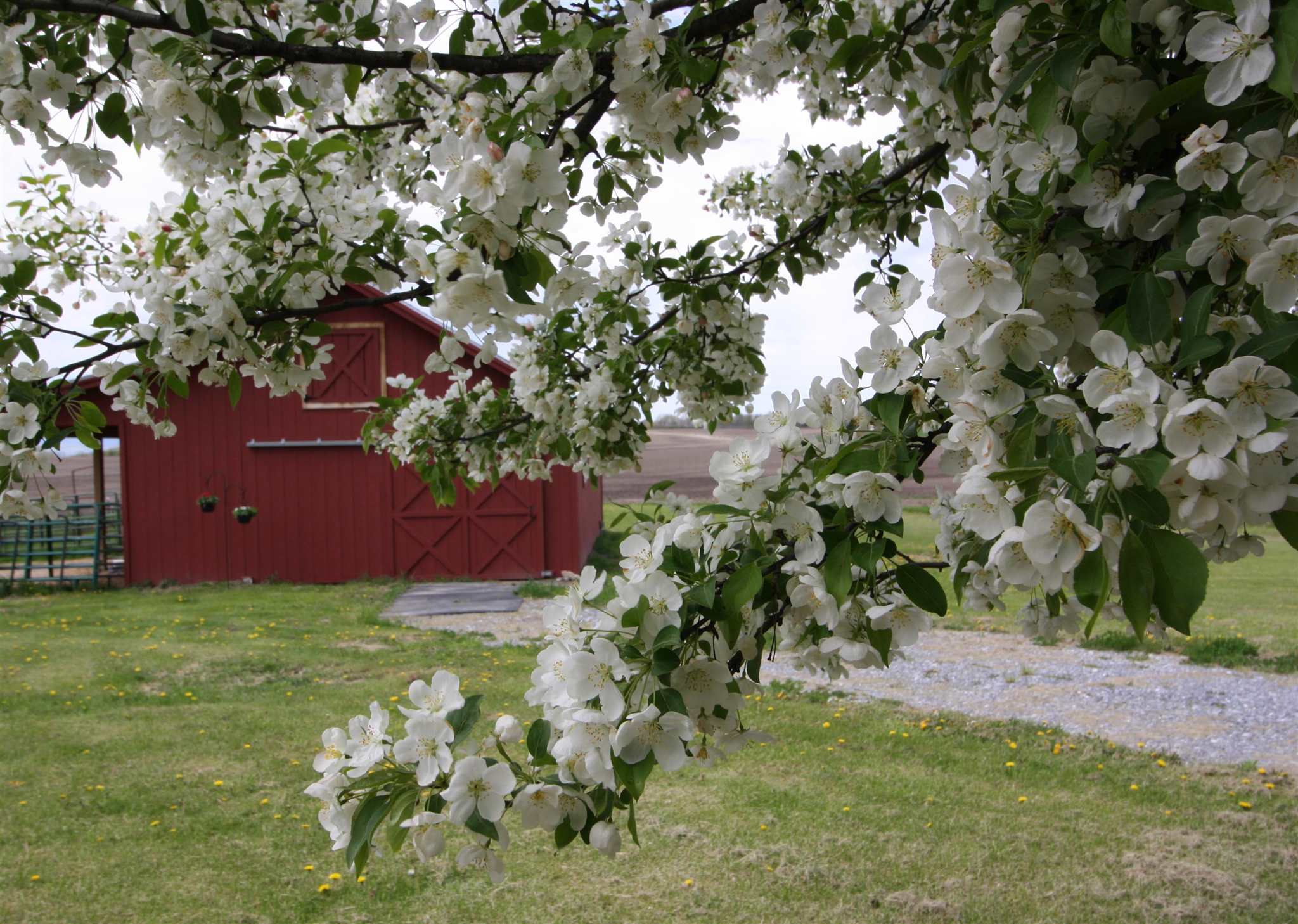 2376 Pearson Road New Haven, VT 05472 - Photo 12 of 40
