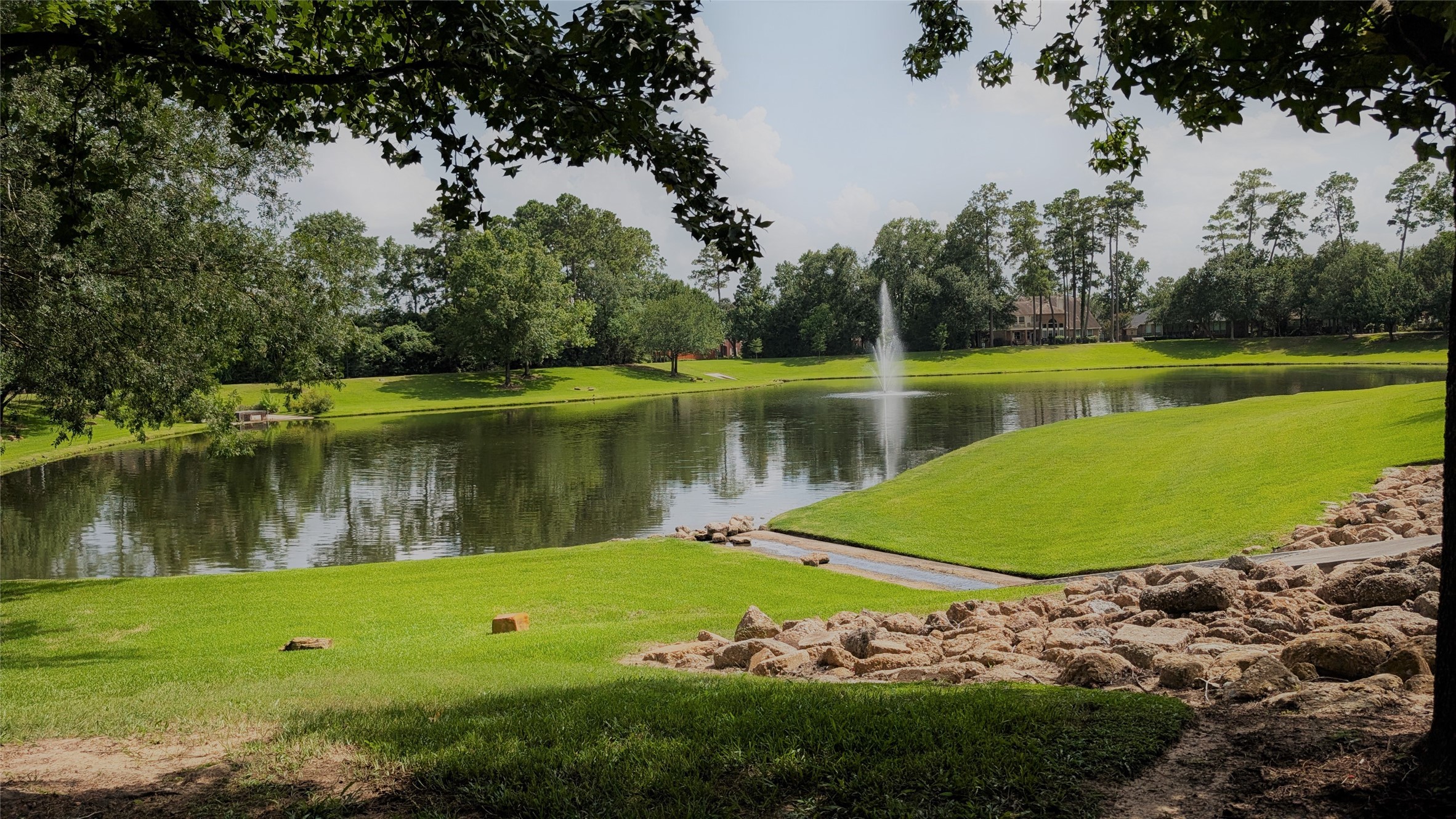 a view of a lake with a yard and large trees