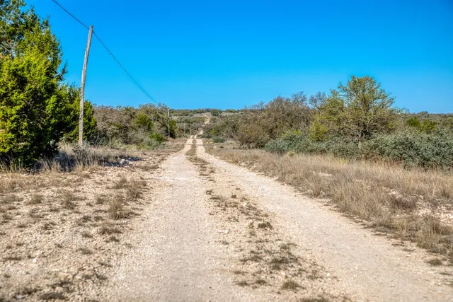 a view of a dry yard with a tree