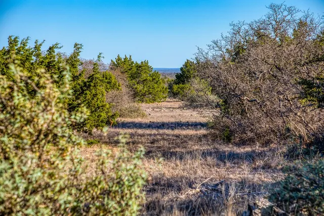 a view of a yard with trees
