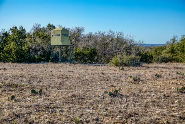 a view of a dry yard with trees