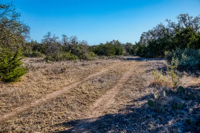 a view of some trees in a field