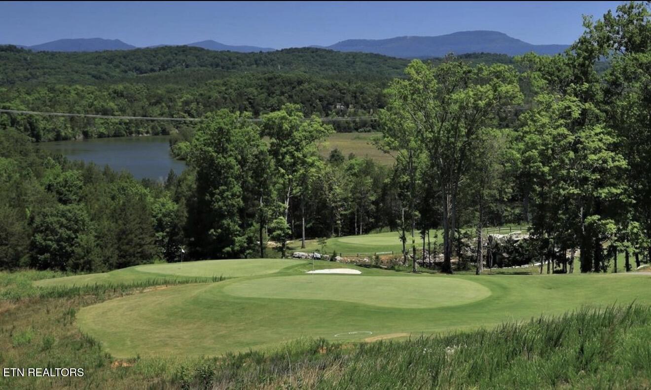 166 Roseberry Street, Unit LOT 73B Oak Ridge, TN 37830 - Photo 20 of 26 IMG_3166