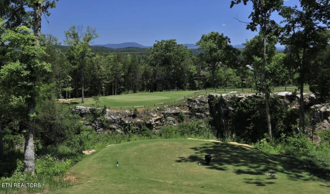 166 Roseberry Street, Unit LOT 73B Oak Ridge, TN 37830 - Photo 21 of 26 IMG_3167