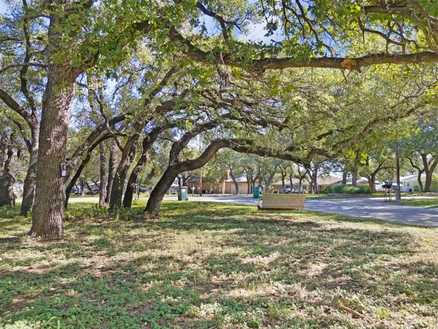 a view of a yard with large trees