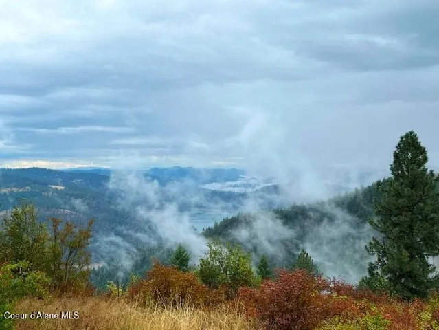 $5,600,000 | Nka 618-acs Freeman Creek Road, Ahsahka, ID 83520