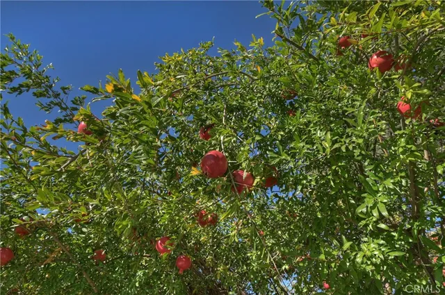 $1,150,000 | 1349 South Center Street, Redlands, CA 92373