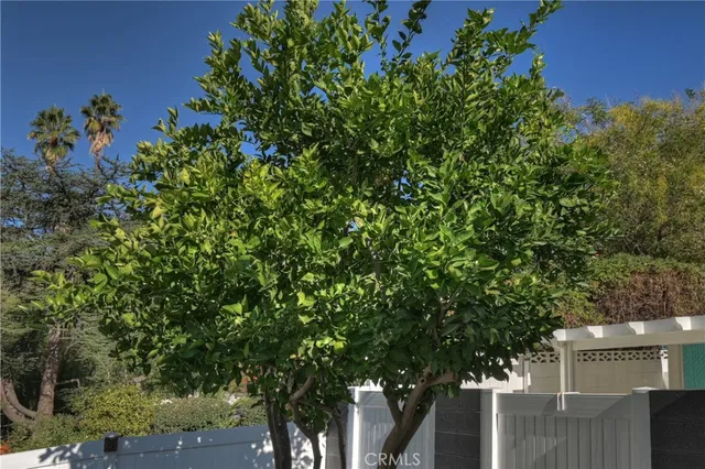 $1,150,000 | 1349 South Center Street, Redlands, CA 92373