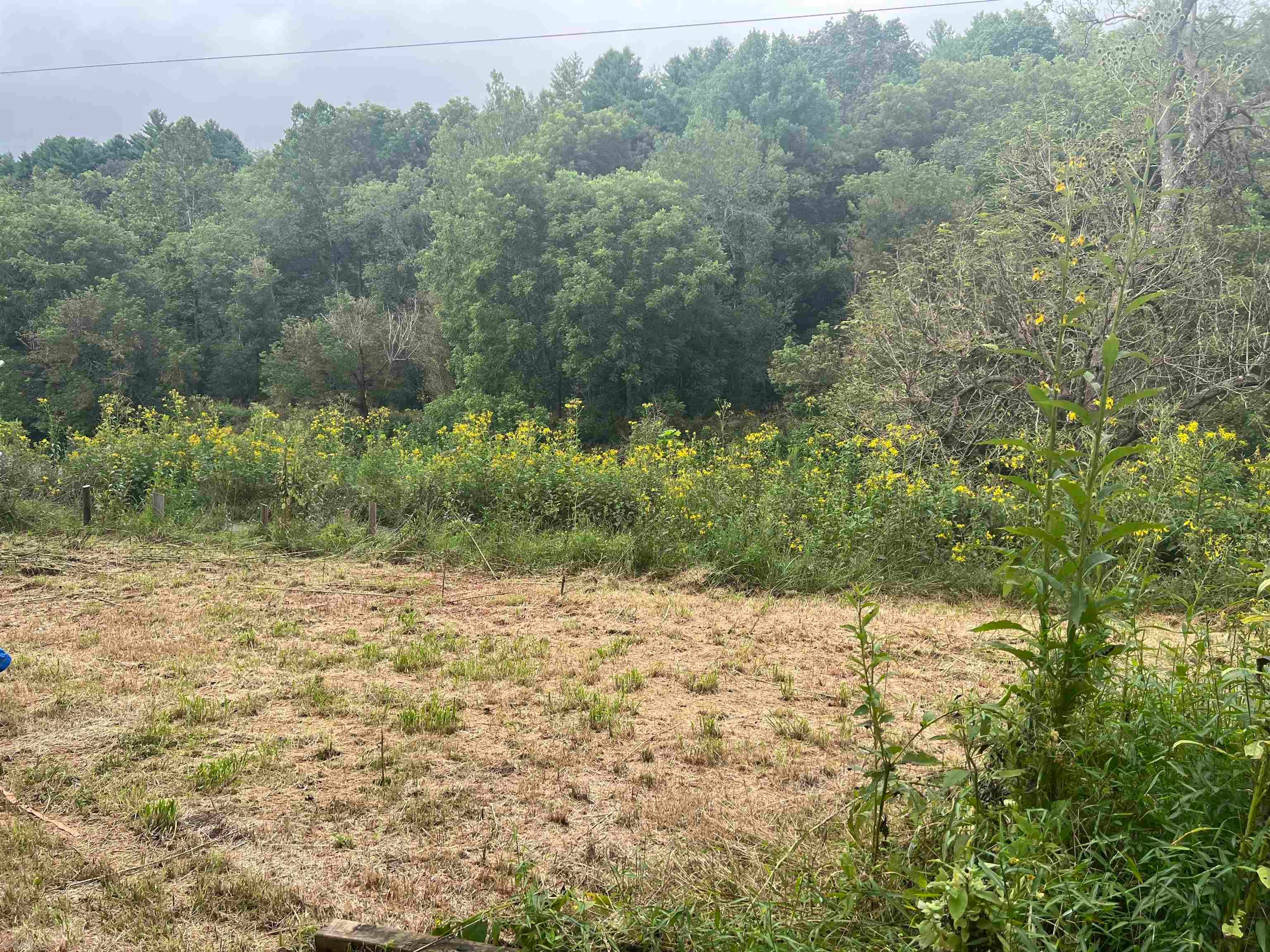 482-488 Sowers Mill Dam Road Northeast Riner, VA 24149 - Photo 4 of 4 Gallery Image 4