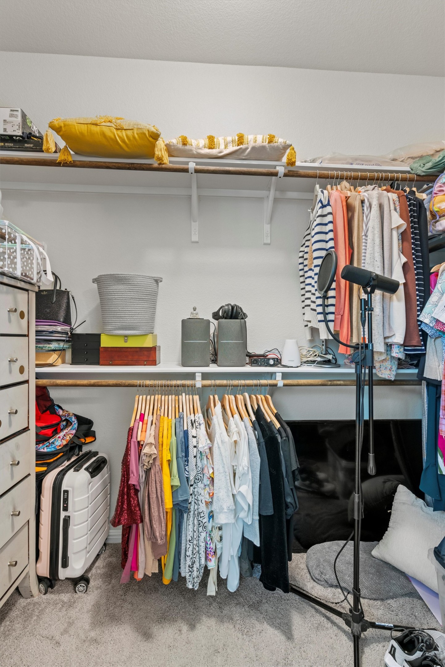 8144 Daisy Cutter Crossing Georgetown, TX 78626 - Photo 16 of 40 Walk in closet with carpet flooring