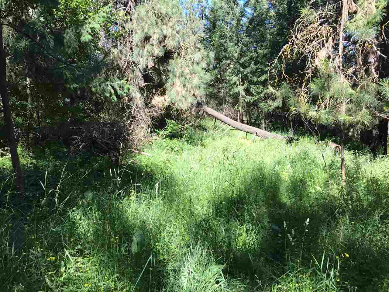 1735 West N Five Mile Road, Unit ADDRESS IS APPROXIMATE Spokane, WA 99218 - Photo 3 of 9 Gallery Image 3