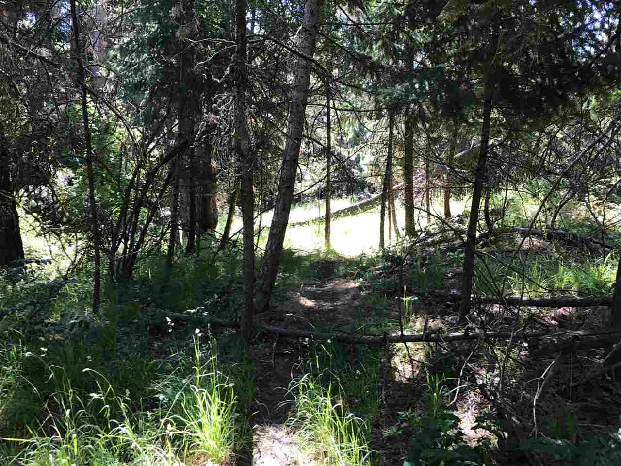 1735 West N Five Mile Road, Unit ADDRESS IS APPROXIMATE Spokane, WA 99218 - Photo 9 of 9 Gallery Image 9