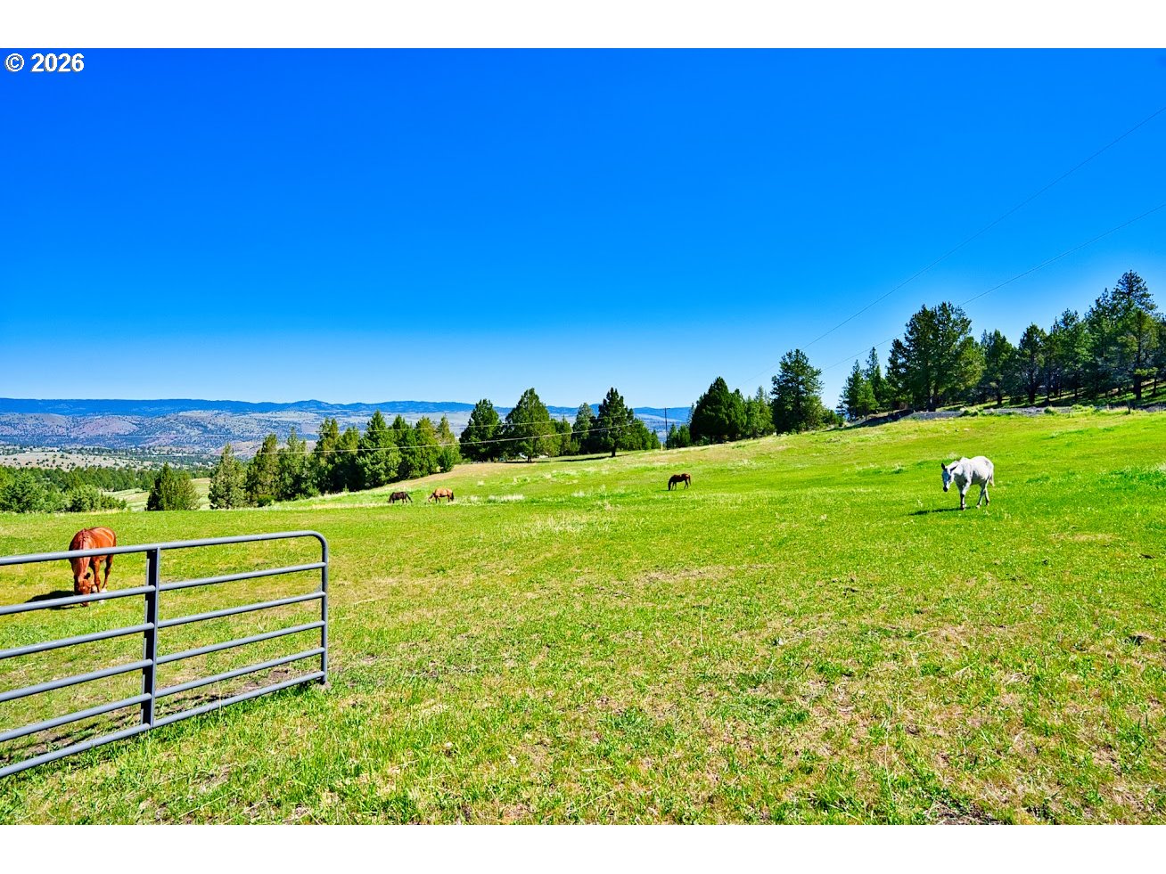 26008 Adam Road Canyon City, OR 97820 - Photo 4 of 46