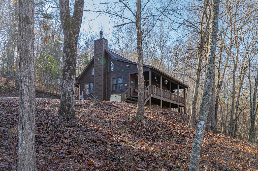170 Spring Creek Road Blue Ridge, GA 30513 - Photo 3 of 29