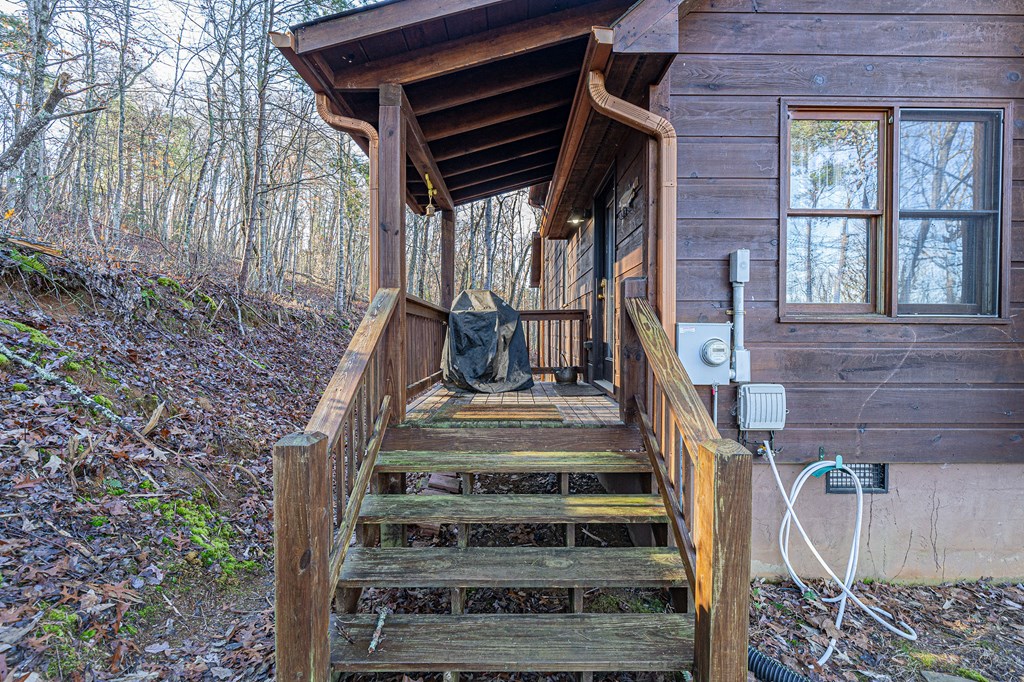 170 Spring Creek Road Blue Ridge, GA 30513 - Photo 8 of 29