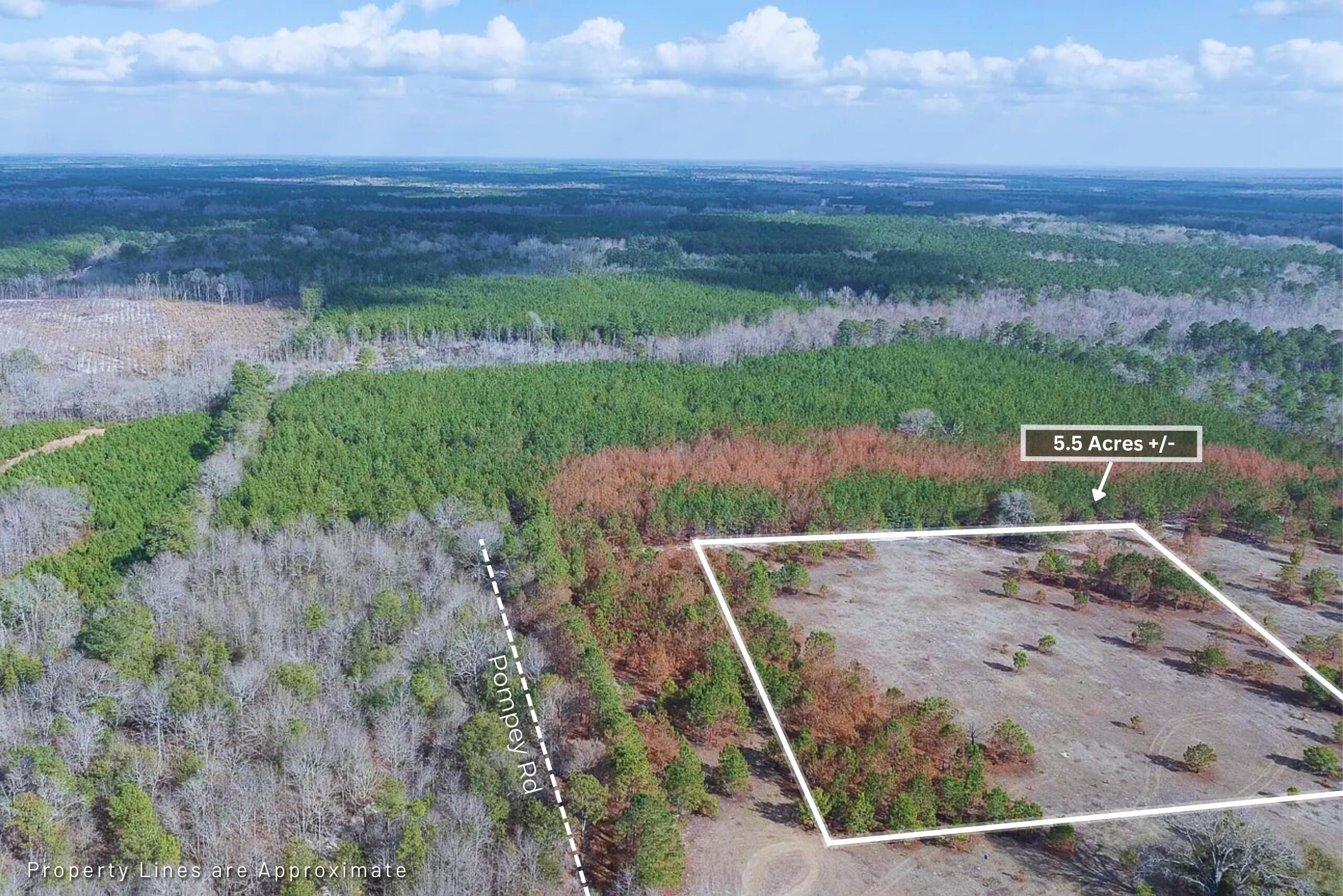 5 Pompey Road Manning, SC 29102 - Photo 3 of 34