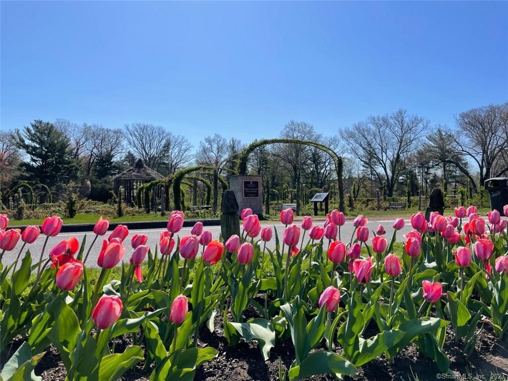 4 Sycamore Lane West Hartford, CT 06117 - Photo 16 of 19