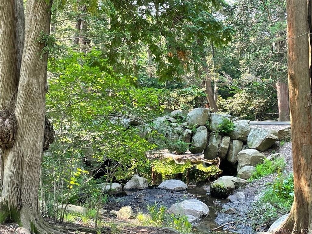 4 Sycamore Lane West Hartford, CT 06117 - Photo 18 of 19 a view of a garden with plants and flowers