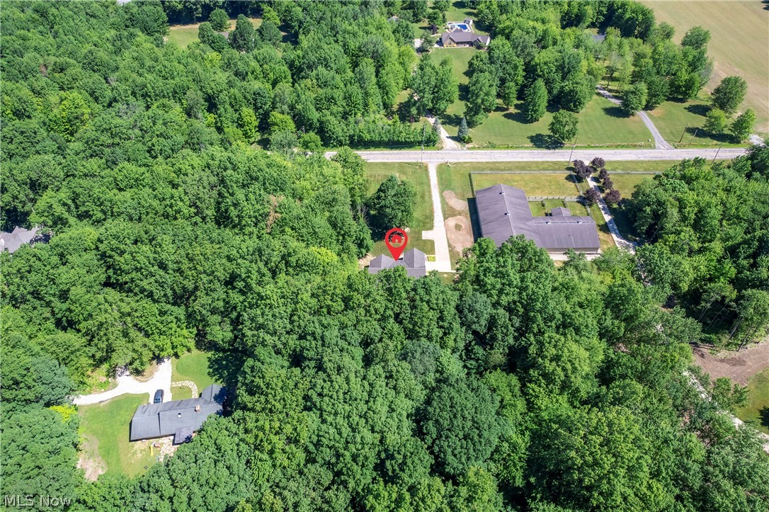 48303 Russia Road Amherst, OH 44001 - Photo 33 of 35 Another overhead view
