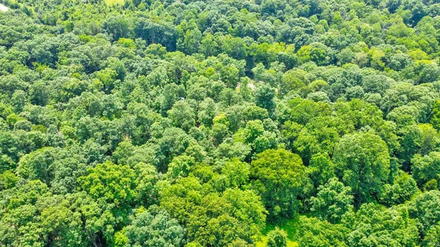 $134,900 | 24750 Highway 145, Bristow, IN 47515