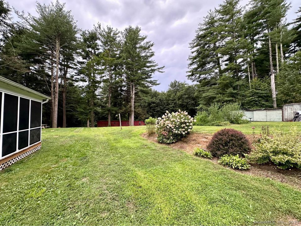 386 Cherry Brook Road Canton, CT 06019 - Photo 15 of 16 a view of a backyard with a large tree