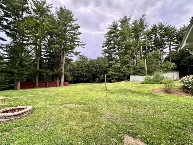 a view of a park with large trees