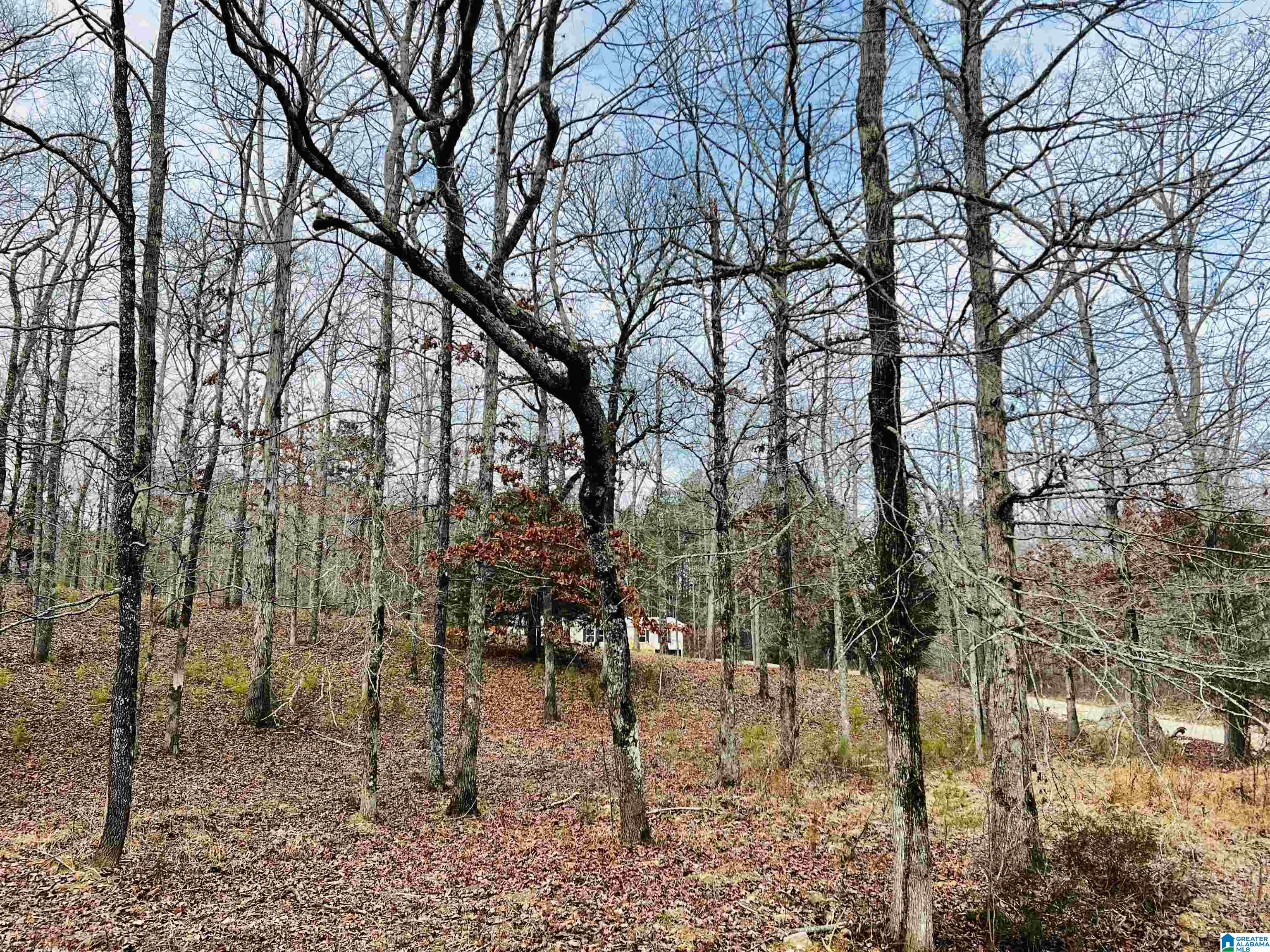 2415 Francis Mill Road Ohatchee, AL 36271 - Photo 42 of 44