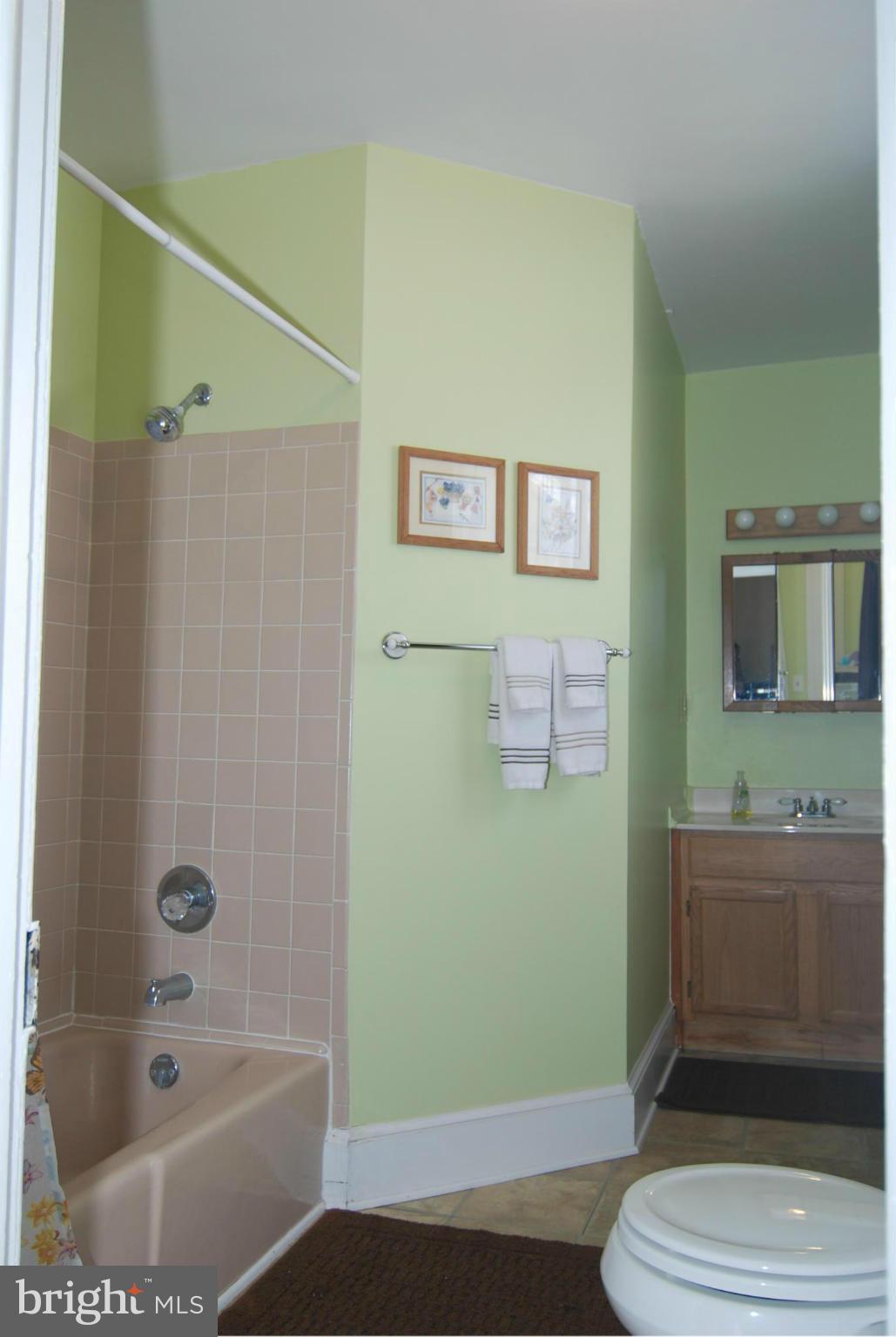 4256 Main Street Rohrersville, MD 21779 - Photo 23 of 26 a bathroom with a bathtub and a shower