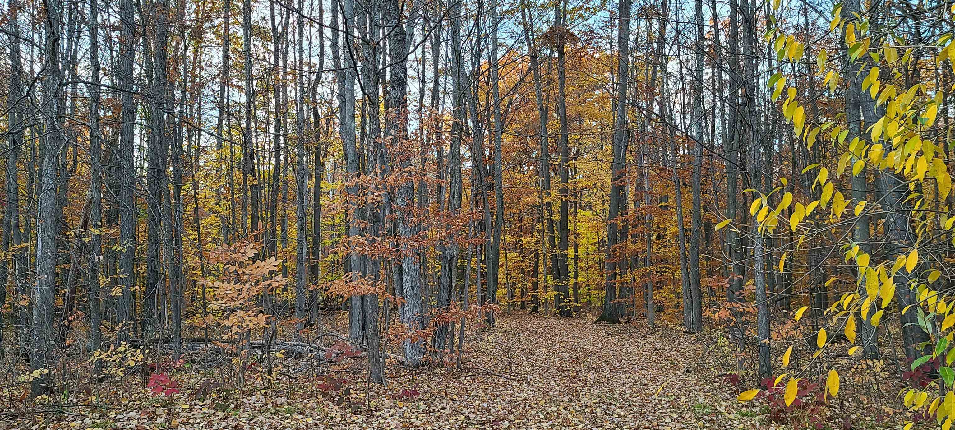 4251 Foothill Drive Barton City, MI 48705 - Photo 12 of 17 Gallery Image 12