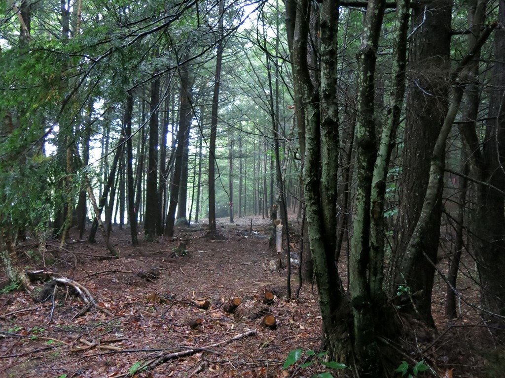 6-7 Spruce Corner Road Ashfield, MA 01330 - Photo 3 of 4 Gallery Image 3