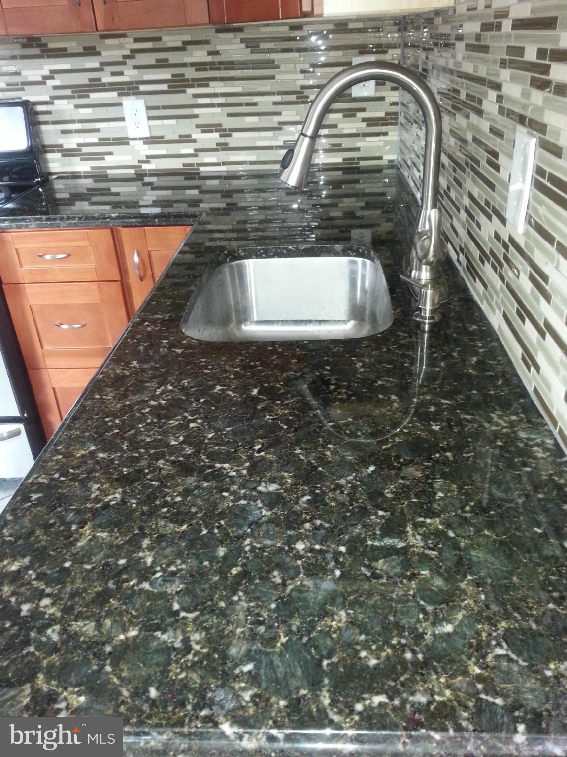 3800 Randolph Road Silver Spring, MD 20902 - Photo 11 of 23 a close view of sink