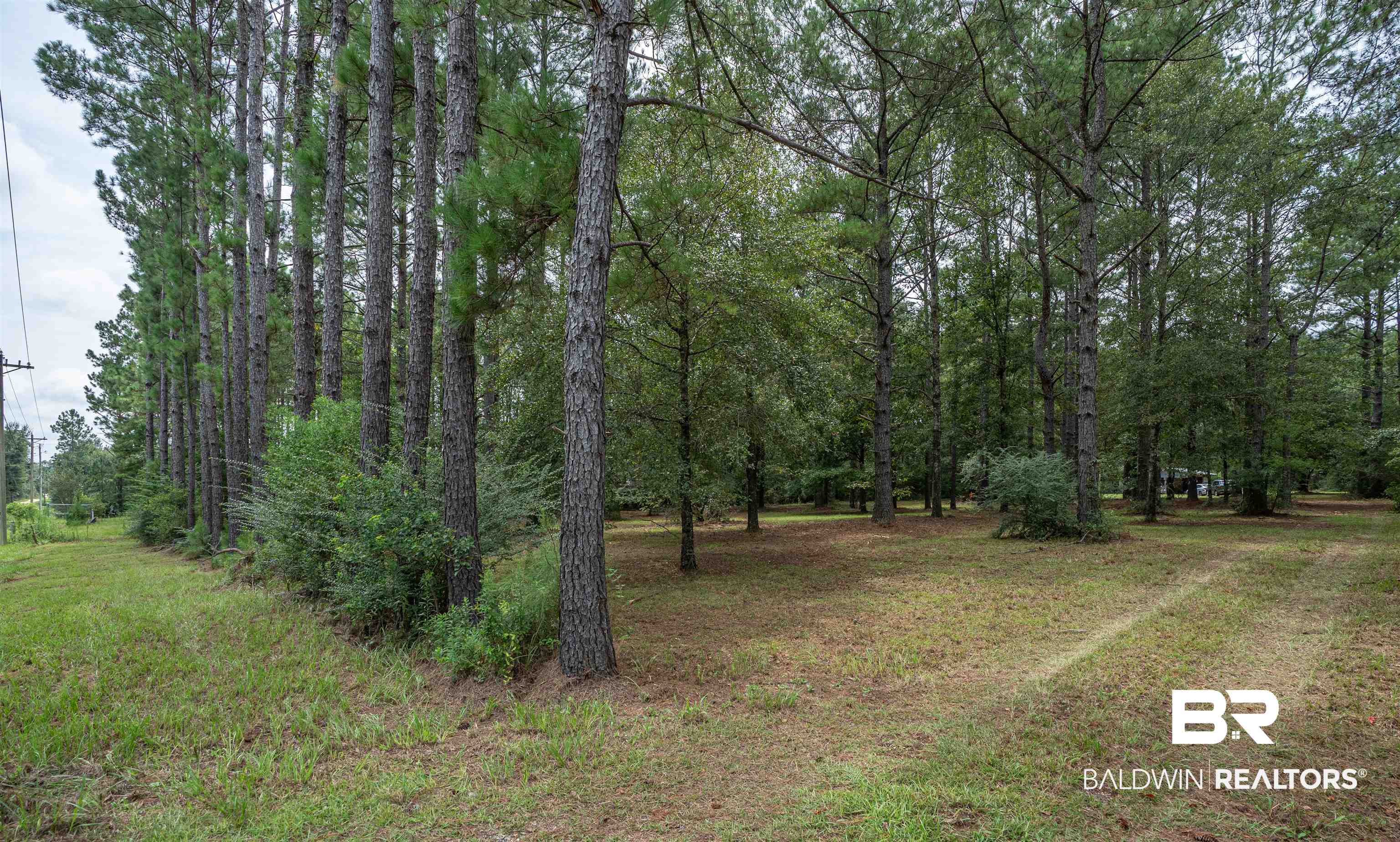 23439 Patterson Road Robertsdale, AL 36567 - Photo 1 of 17