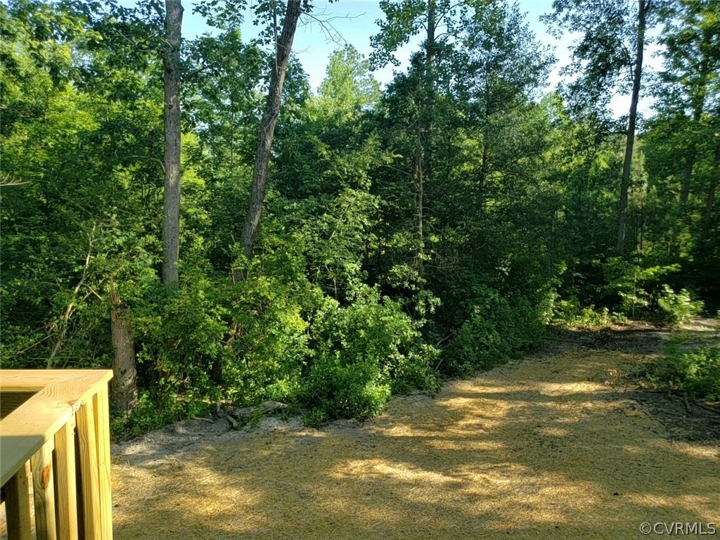 9202 Hunters Trail Road Petersburg, VA 23803 - Photo 16 of 17 a view of a yard with a tree